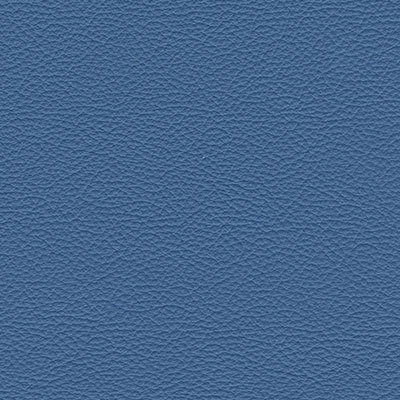 Baticklazuli blue